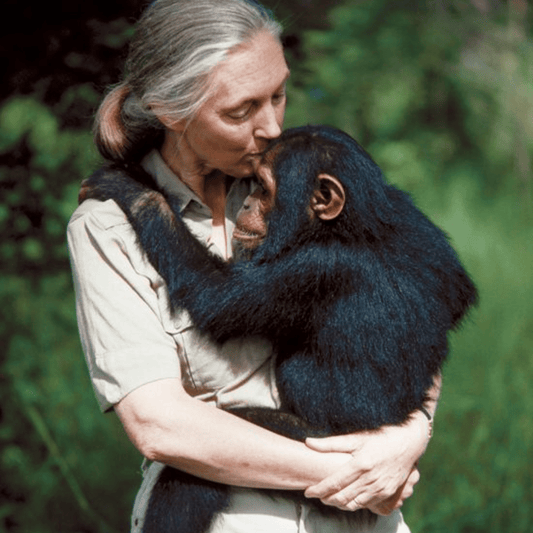 A Heartfelt Tribute to Jane Goodall: Inspiring Hope Through Everyday Choices - Easey Earth