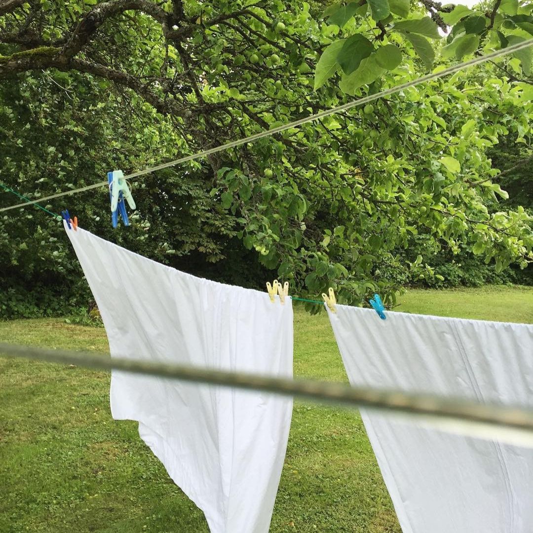 Healthy Home, Happy Family: The Power of Non Toxic Cleaning - Easey Earth