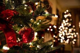 Last-Minute Christmas? Here's a Kinder Way to Clean Up Before Guests Arrive - Easey Earth