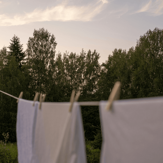 Summer Reset Starts at Home - Easey Earth