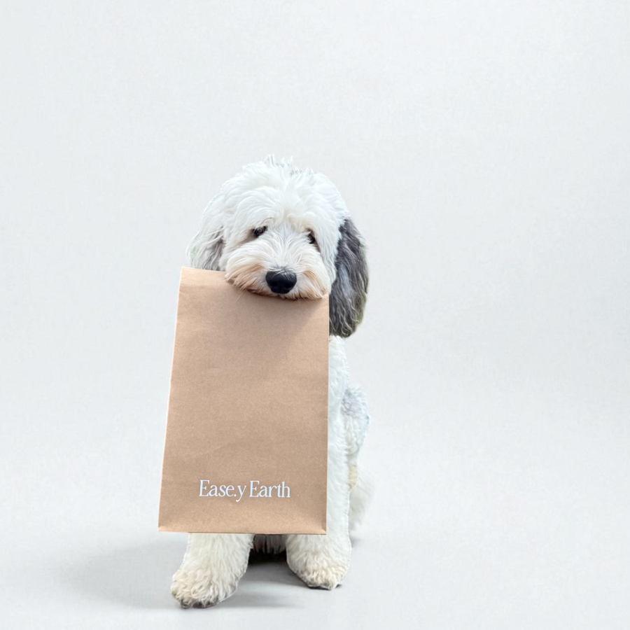 Butter, the Sheepadoodle mascot of Ease.y Earth